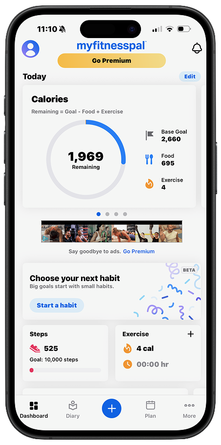 Screenshot of the current MyFitnessPal food diary used during the app audit